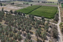گالری تصاویر