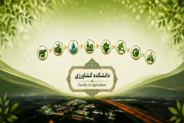 اسلایدر
