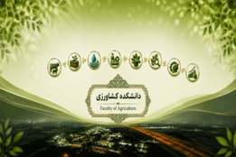 اسلایدر