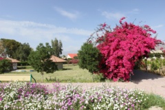 گالری کشاورزی