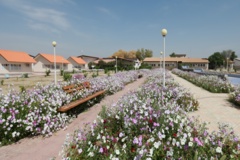 گالری کشاورزی