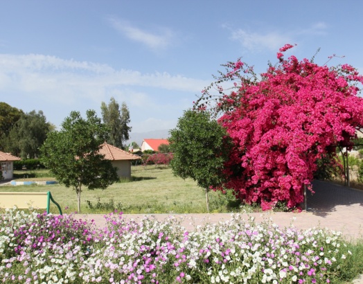گالری کشاورزی