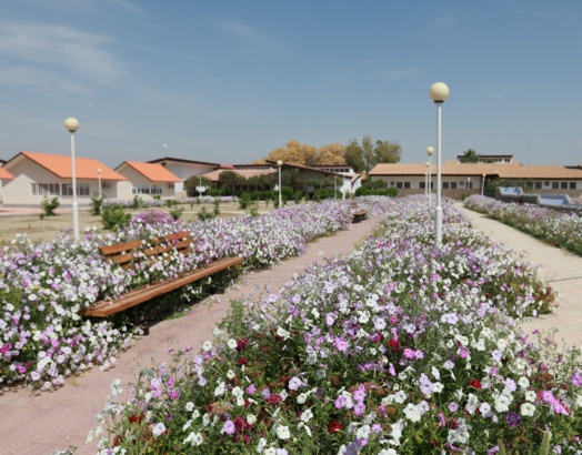 گالری کشاورزی
