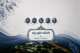 اسلایدر