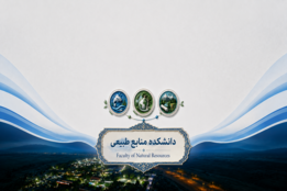 اسلایدر