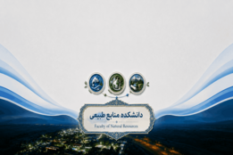 اسلایدر