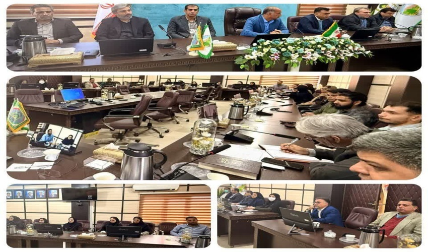نشست همگرایی آموزش و اجرا با حضور مدیرکل منابع طبیعی و آبخیزداری جنوب استان کرمان و رییس دانشکده منابع طبیعی دانشگاه جیرفت