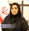برتری طرح تحقیقاتی مشترک عضو هیات علمی دانشگاه جیرفت