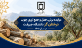 مزایده برش، حمل و جمع‌آوری چوب درختان گز دانشگاه جیرفت در سال ۱۴۰۵