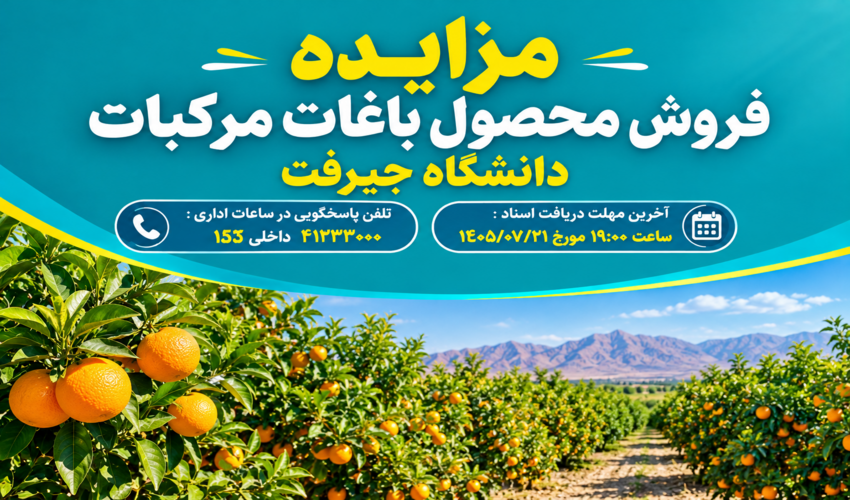 مزایده فروش محصول باغات مرکبات دانشگاه جیرفت-مرحله اول به شماره 1005090918000001